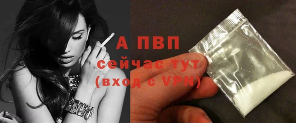 ECSTASY Володарск
