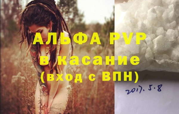 PSILOCYBIN Волосово