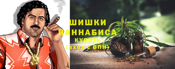PSILOCYBIN Волосово