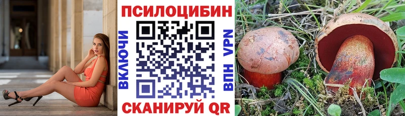 Галлюциногенные грибы MAGIC MUSHROOMS  цены   Енисейск 